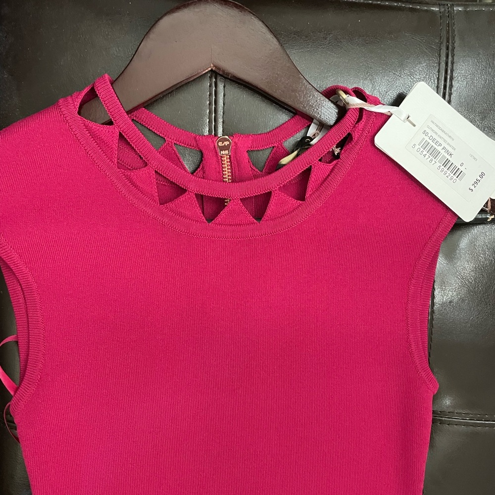 Size 0 never worn with tags attached Ted Baker dress.